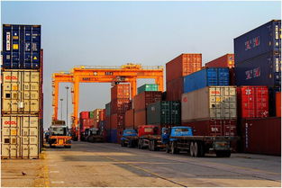 哪些货物不可以用集装箱进行海运运输